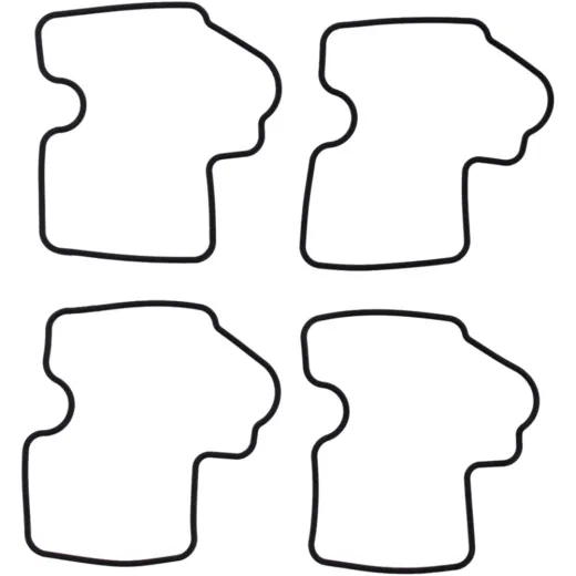 Float Chamber Seal 4 piece FBG409