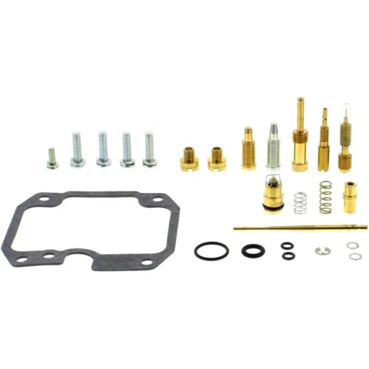 Carburetor repair kit CABK19F