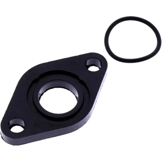 Intake manifold gasket with o-ring
