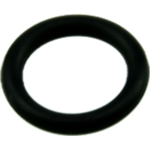 O-ring 979868