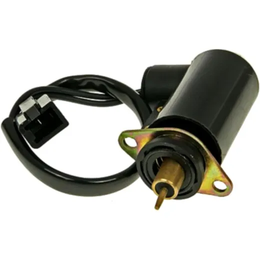 Auto choke electric