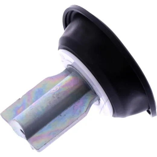 CARB SLIDE WITH DIAPHRAGM