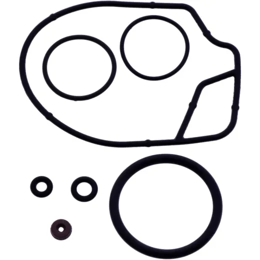 CARBURETTOR REPAIR KIT DELLORTO