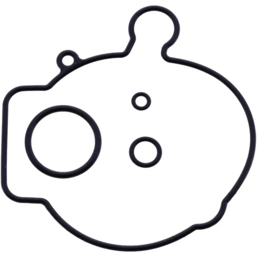 FLOAT CHAMBER SEAL (OE SPARE PART)