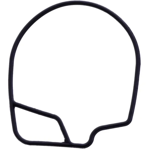 FLOAT CHAMBER SEAL