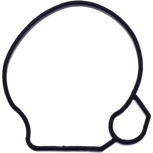 FLOAT CHAMBER SEAL