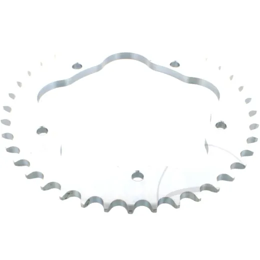Rear sprocket 39 tooth pitch 525 silver JTR75239