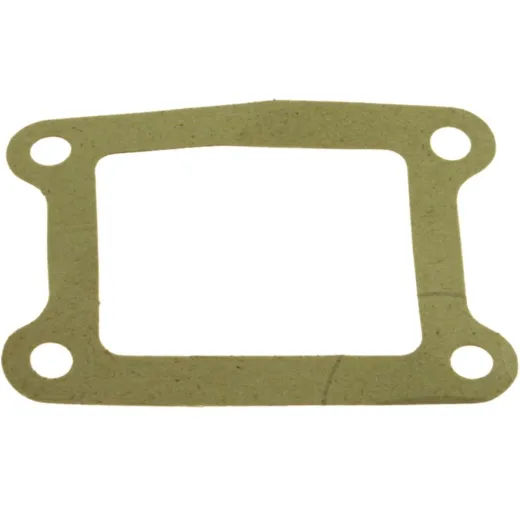 Intake gasket S410105010003