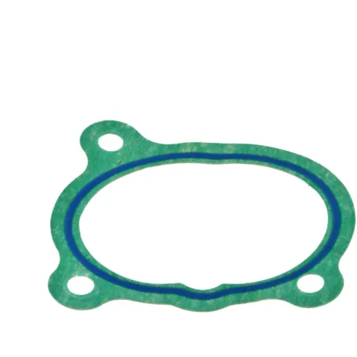 Intake gasket S410190010025