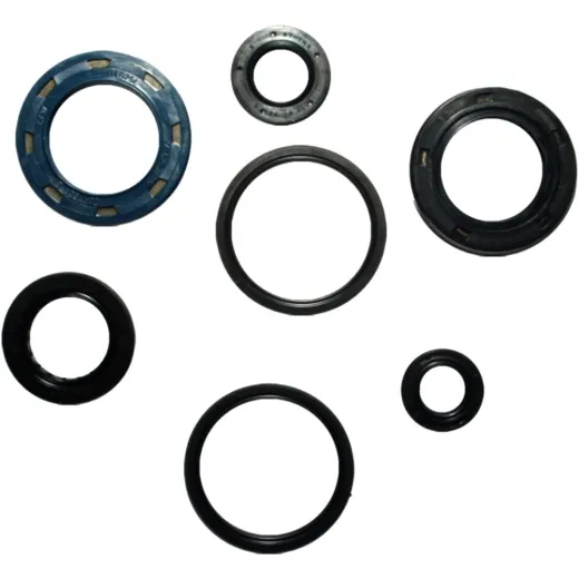 Engine oil seal kit P400210400136