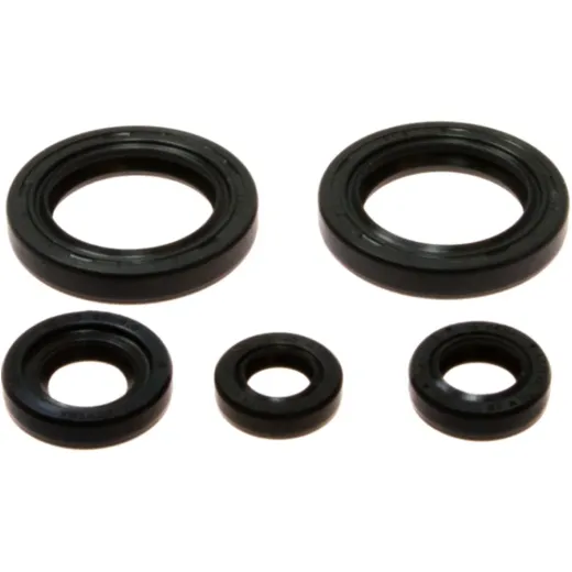 Engine oil seal kit P400270400060