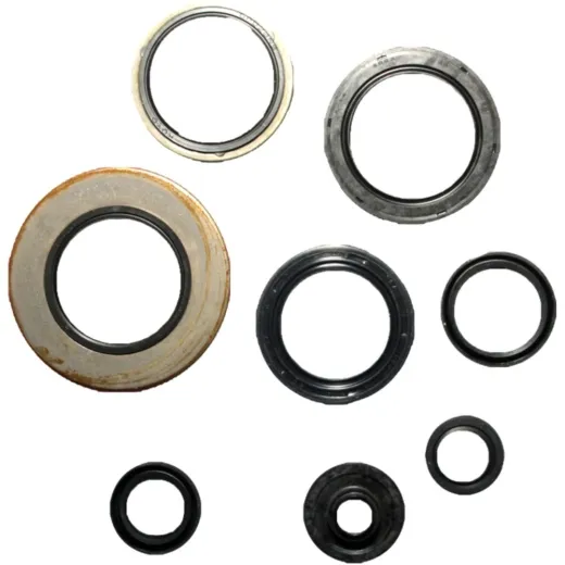 Engine oil seal kit P400510400035
