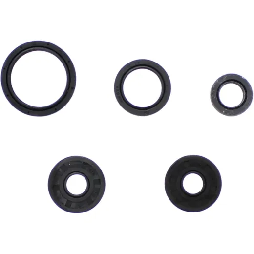 Engine oil seal kit P400068400015
