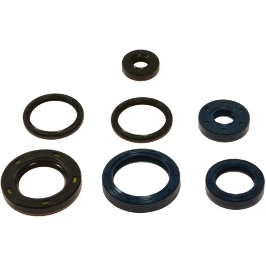 Engine oil seal kit P400420400009