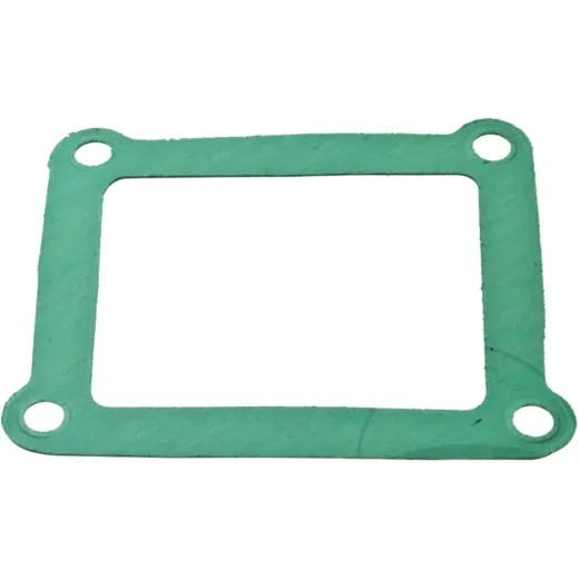 Intake gasket S410155010001