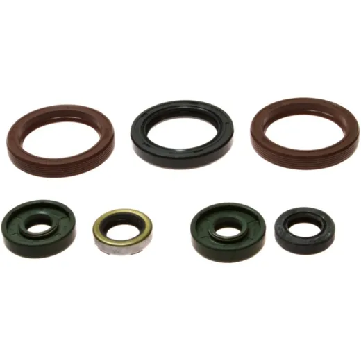 Engine oil seal kit P400270400062