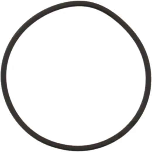 O-ring 33117698274