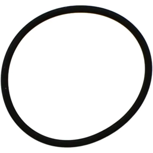 Exhaust gasket M753004700094