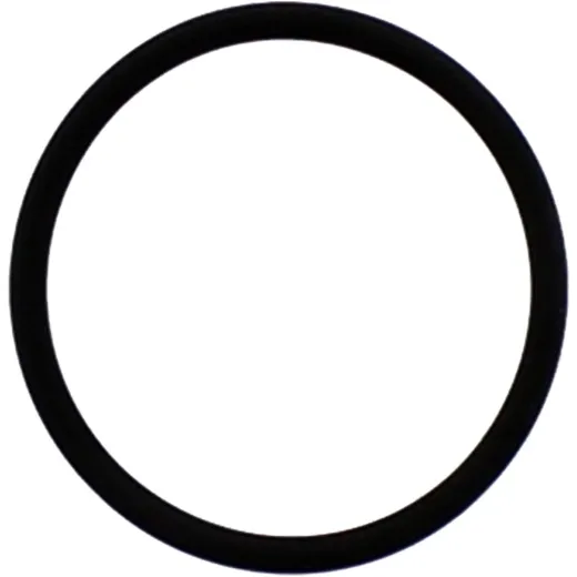 Exhaust gasket M753504166094