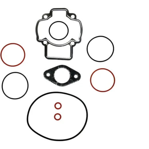 Complete gasket / seal kit P400480700055