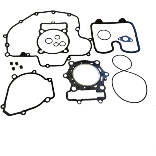 Gasket set complete P400220850255