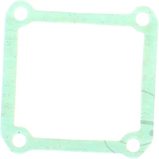 Gasket intake in