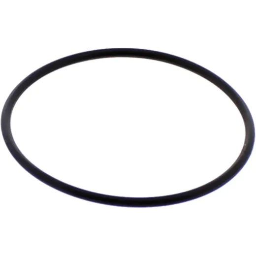 Inlet Seal O-Ring M752004400004