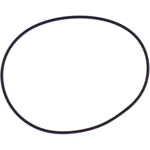 Cylinder head gasket o-ring M752008300094