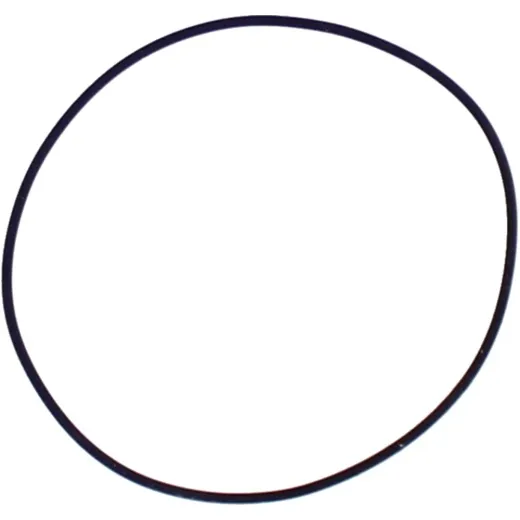 Cylinder head gasket o-ring M752008600094