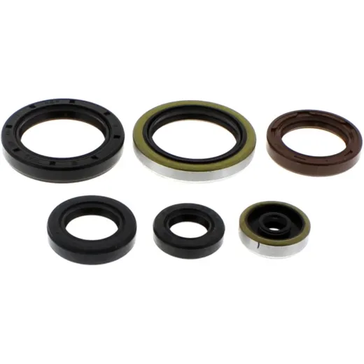 Engine oil seal kit P400270400077