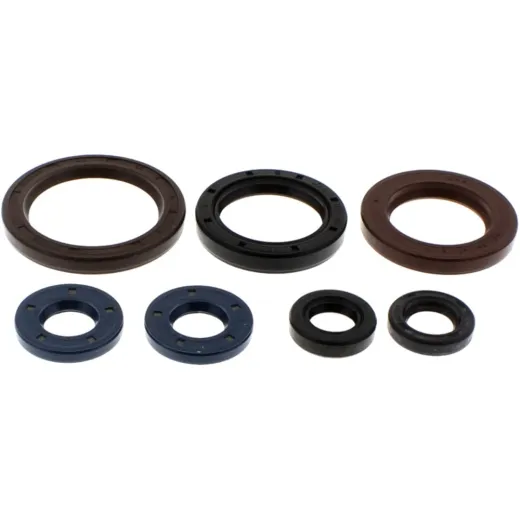 Engine oil seal kit P400270400078