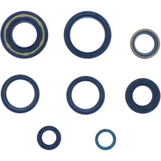 Engine oil seal kit P400090400130