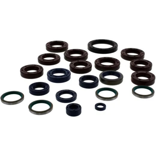 Engine oil seal kit P400110400920