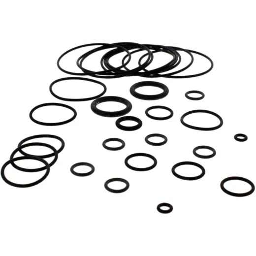 Engine oil seal kit P400110400920
