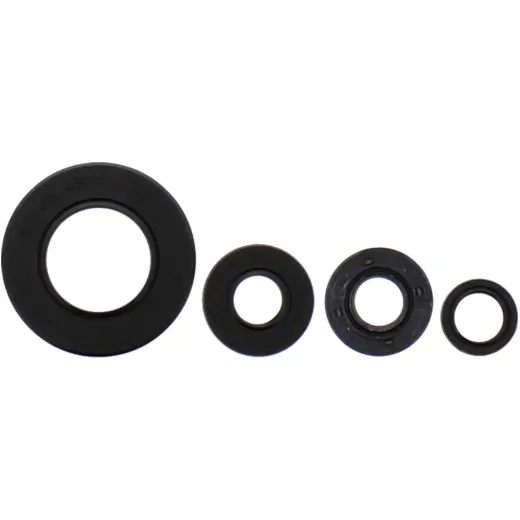 Engine oil seal kit P400210400061