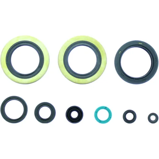 Engine oil seal kit P400250400500