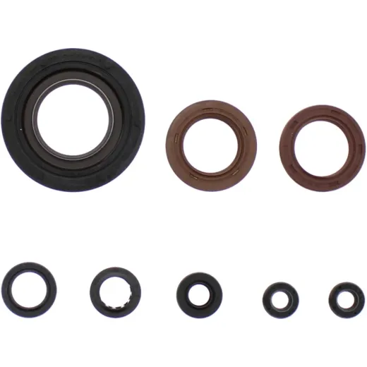 Engine oil seal kit P400510400255