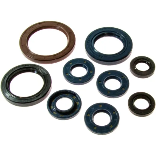 Engine oil seal kit P400270400063