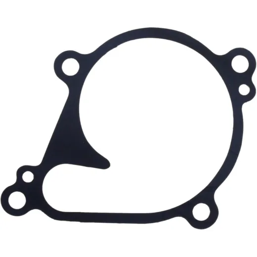 Water pump seal S410250024030