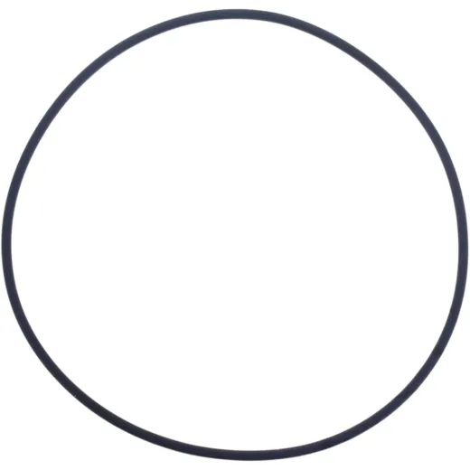 Water pump seal M752008200004