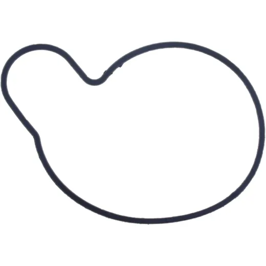 Water pump seal S410510024021