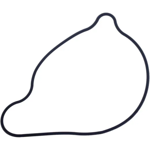 Water pump seal S410485024015