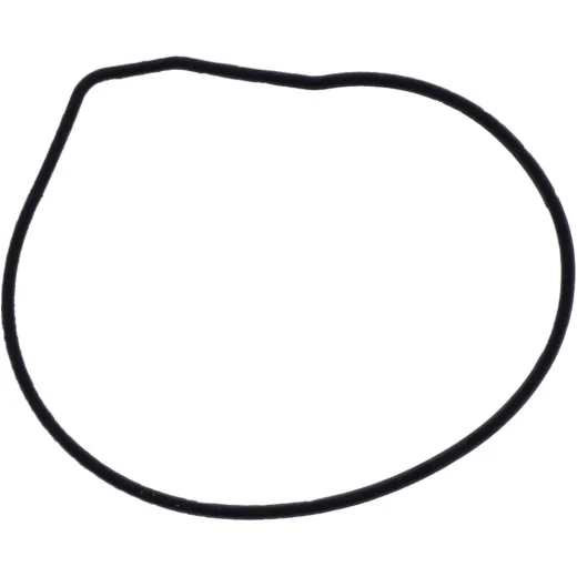 Water pump seal S410485024029