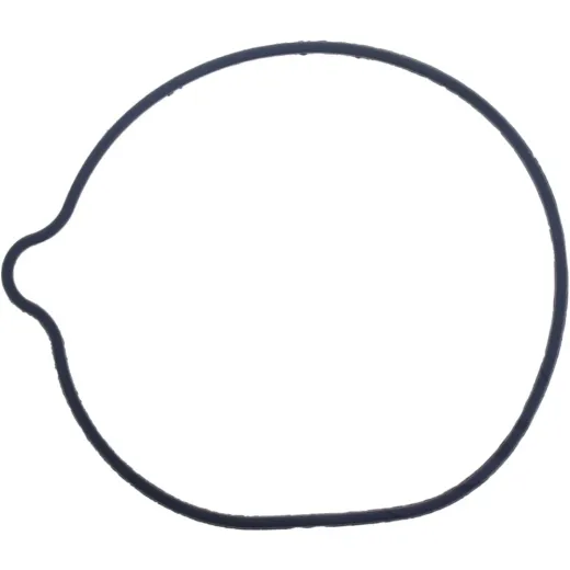 Water pump seal S410210024033