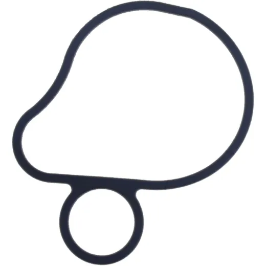 Water pump seal S410210024016
