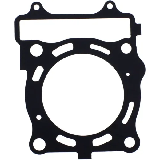 Cylinder head gasket athena 495361