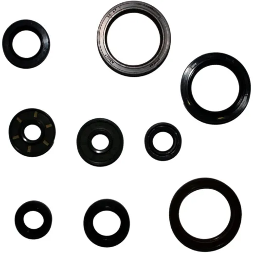 Engine oil seal kit P400270400071