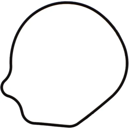 Water pump gasket