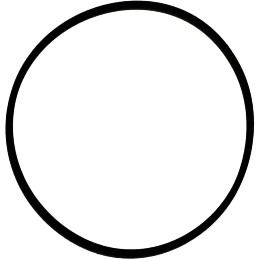 Cylinder base gasket o-ring M752603325094