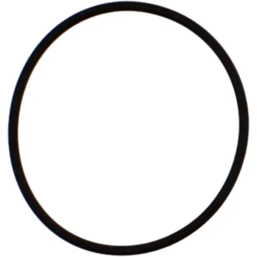 Gasket o-ring M752004200004